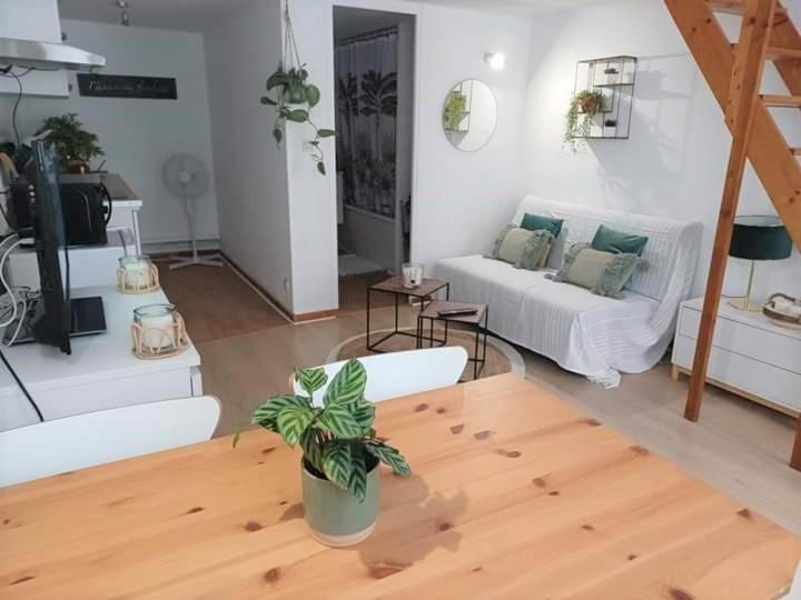 Duplex A La Gare Du Mans Bed & Breakfast เลอม็องส์ ภายนอก รูปภาพ